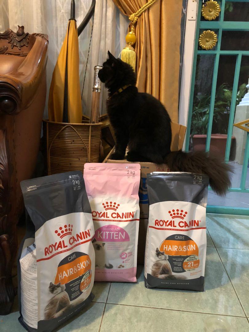 Royal canin sale 400 gr