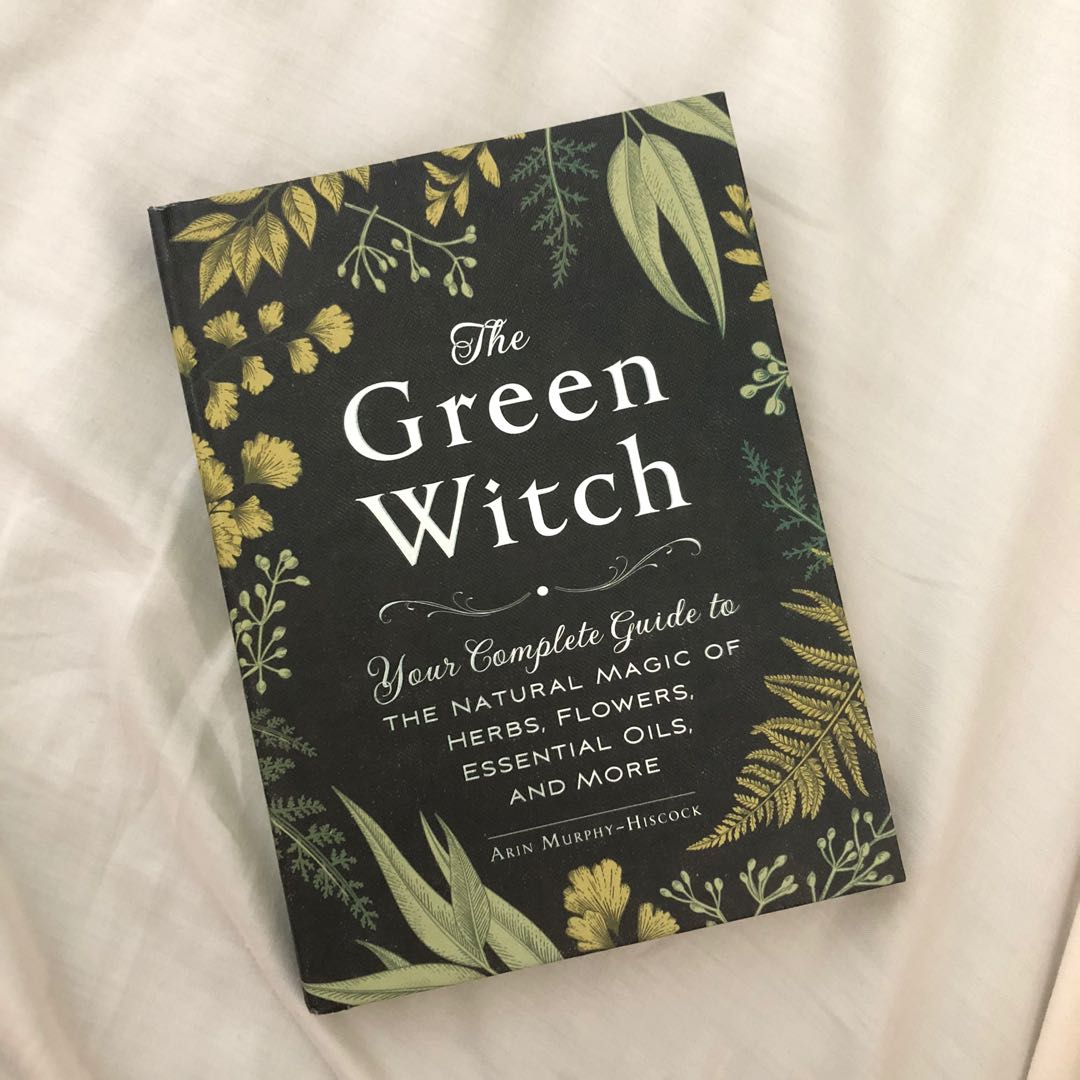 The Green Witch Witchcraft Book Hobbies Toys Books Magazines Children S Books On Carousell