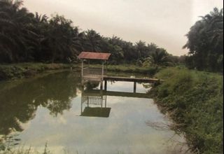 (Category: ) located in . Submitted by eniltoh (Listing ID 1044204153, Image 1). Description: .
