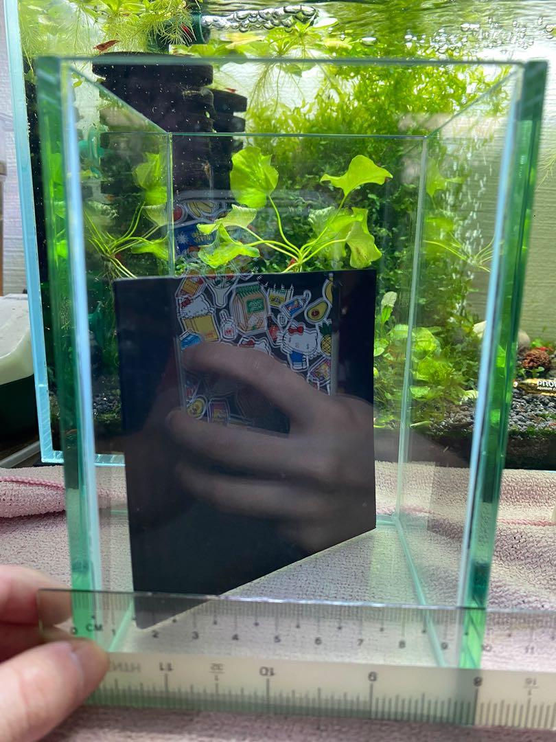 Betta Fish Tank Pet Supplies For Fish Fish Tanks On Carousell