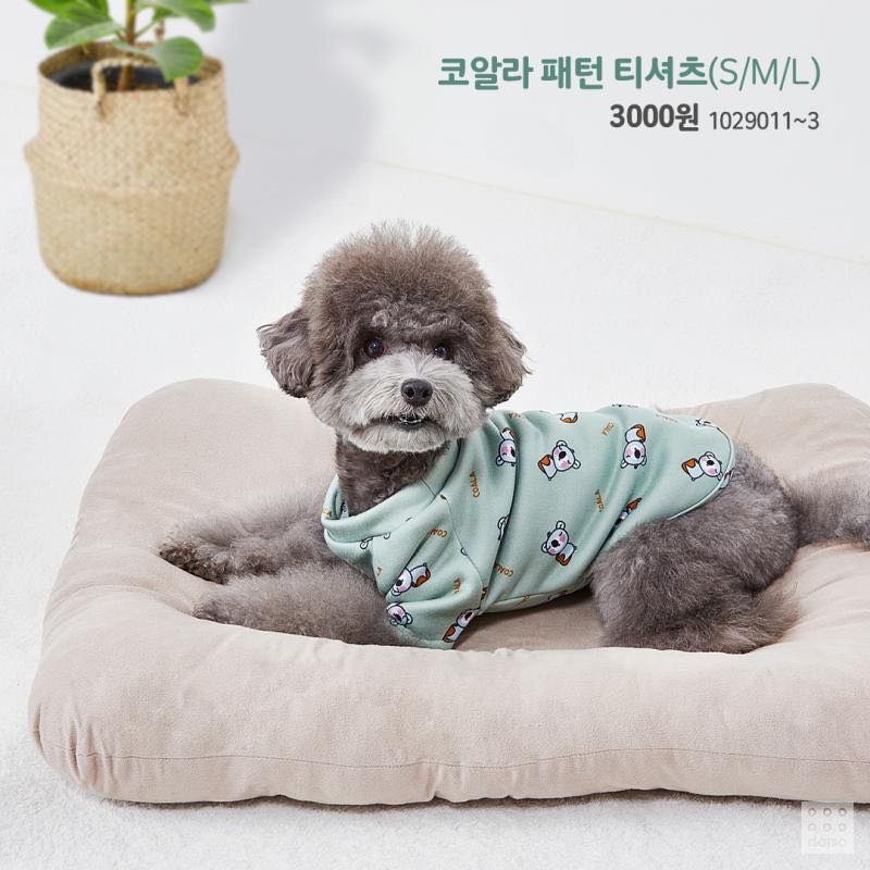 韓國daiso可愛竉物衫 寵物用品 寵物衣服 Carousell