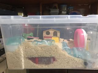 (Category: ) located in . Submitted by http.n4bi (Listing ID 1044571942, Image 1). Description: .