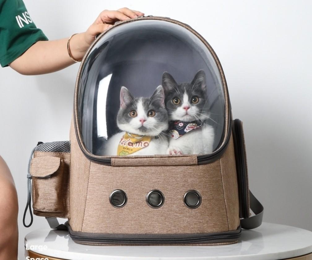 Spaceship cat carrier clearance