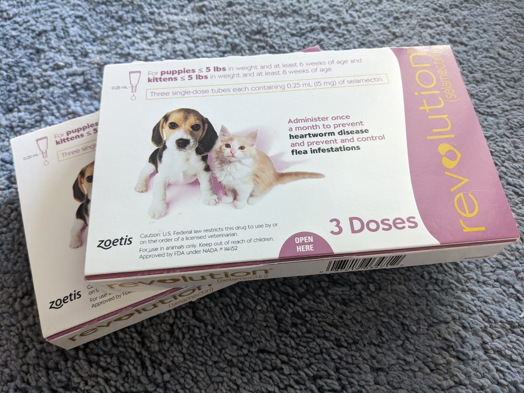 Revolution For Puppies And Kittens Pet Supplies For Dogs Health Grooming On Carousell