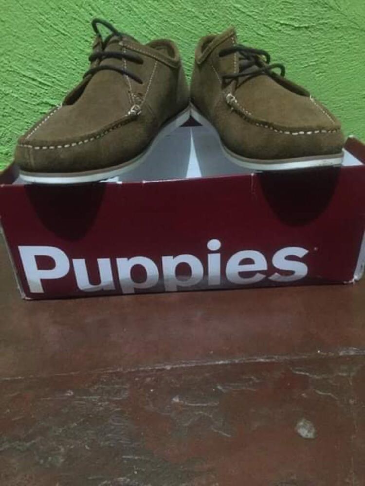 puppies shoes