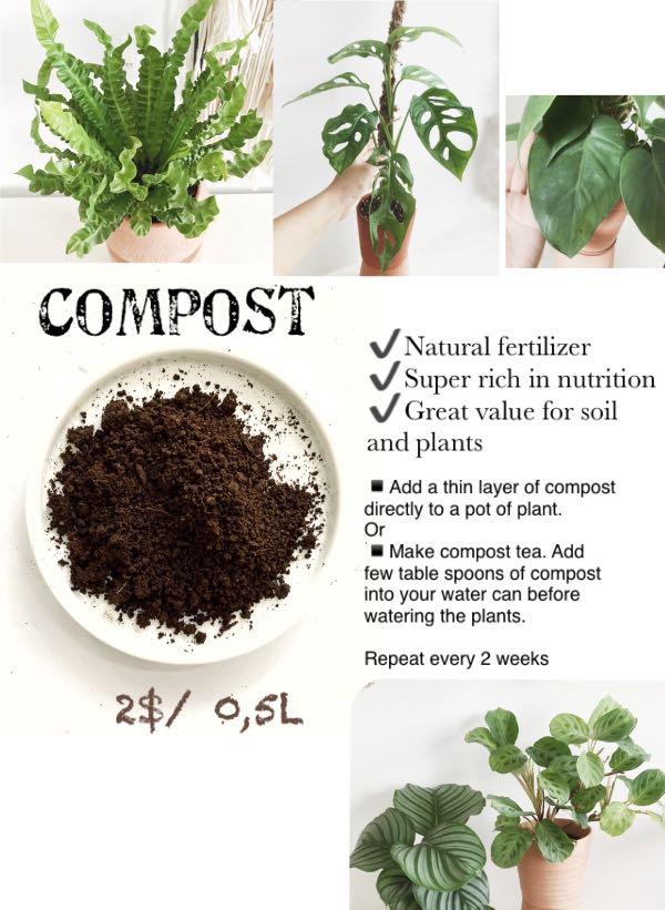 compost food for indoor plant natual nutrients boost growing leaves and stronger root furniture home living gardening plants seeds on carousell