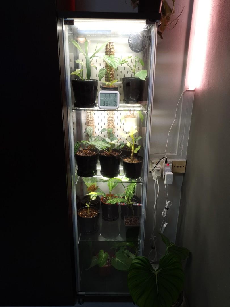 ikea detolf greenhouse glass cabinet furniture home living gardening pots planters on carousell