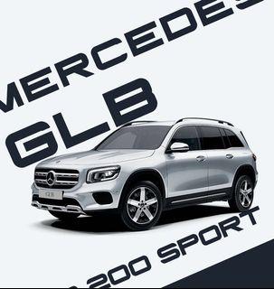 mercedes star guard cleaning kit
