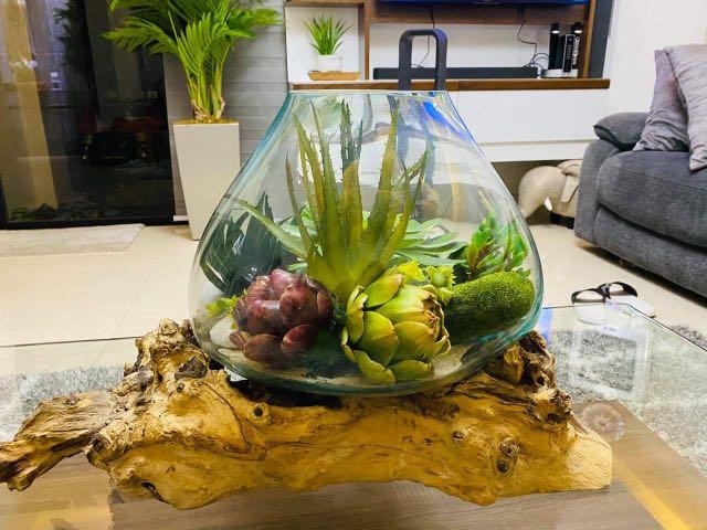Molten Glass And Wood Root Sculptured Terrarium W Customized Fake Plants Gardening Flowers On Carou - Melted Glass And Wood Terrarium Molten Glass And Wood Root Sculptured Terrarium W Customized Fake Plants Gardening Flowers On Carou - Melted Glass And Wood Terrarium