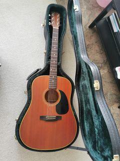 Timothy S7 Dreadnought