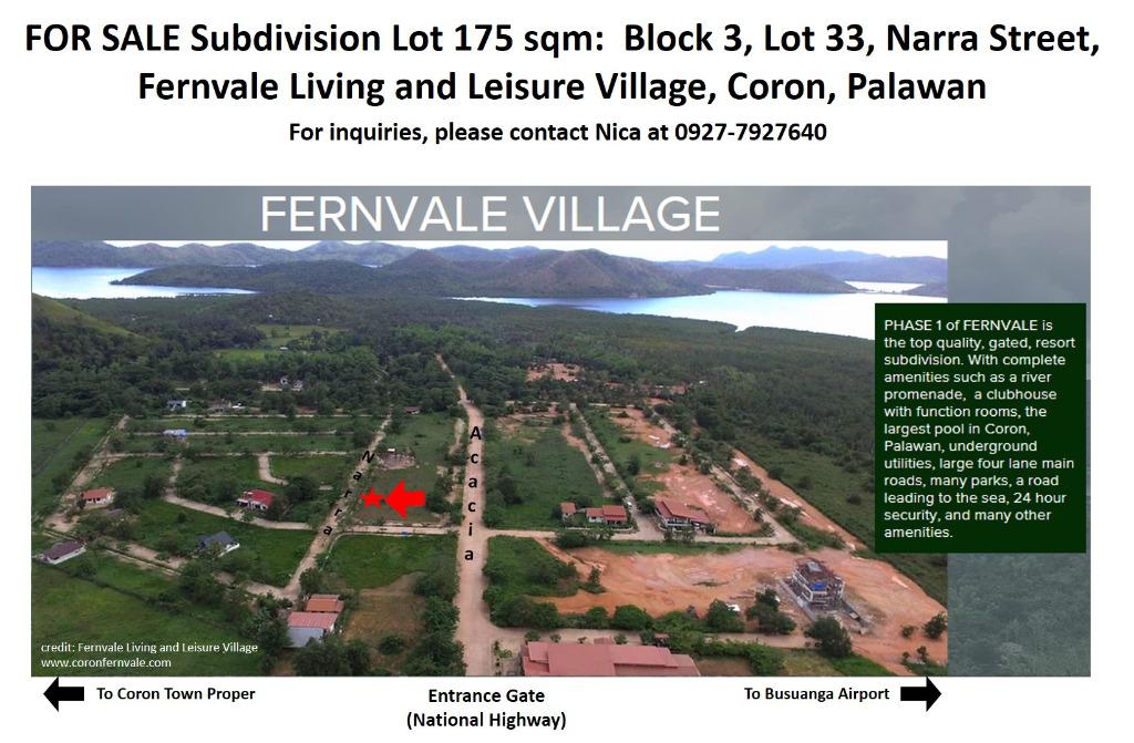Titled Subdivision Lot in Coron, Palawan, Property, For Sale, Lot on Carousell