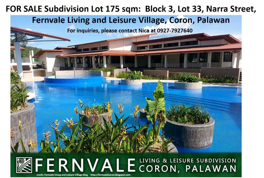 Titled Subdivision Lot in Coron, Palawan, Property, For Sale, Lot on Carousell
