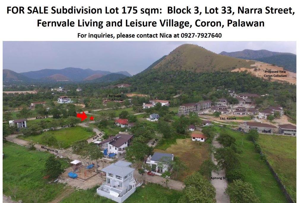 Titled Subdivision Lot in Coron, Palawan, Property, For Sale, Lot on Carousell
