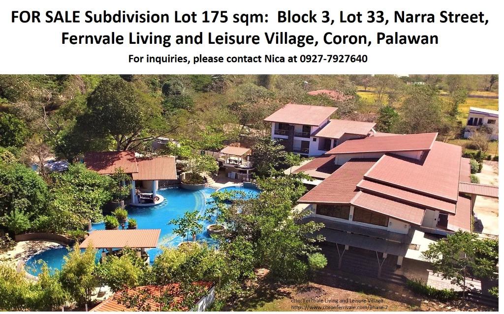 Titled Subdivision Lot in Coron, Palawan, Property, For Sale, Lot on Carousell
