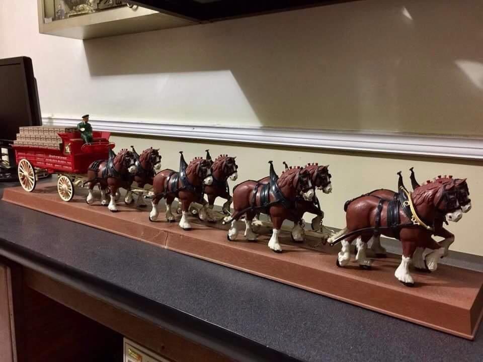 Budweiser Clydesdale Horses Home