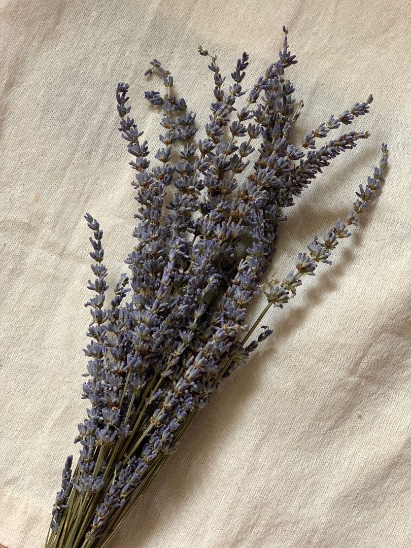 Sale Dried Lavender Flowers Hobbies Toys Stationary Craft Flowers Bouquets On Carousell