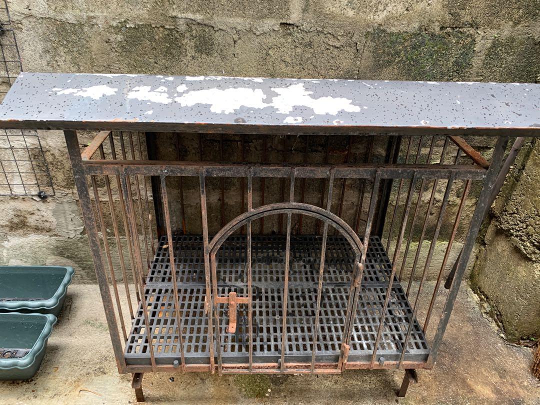 2x3 dog cage