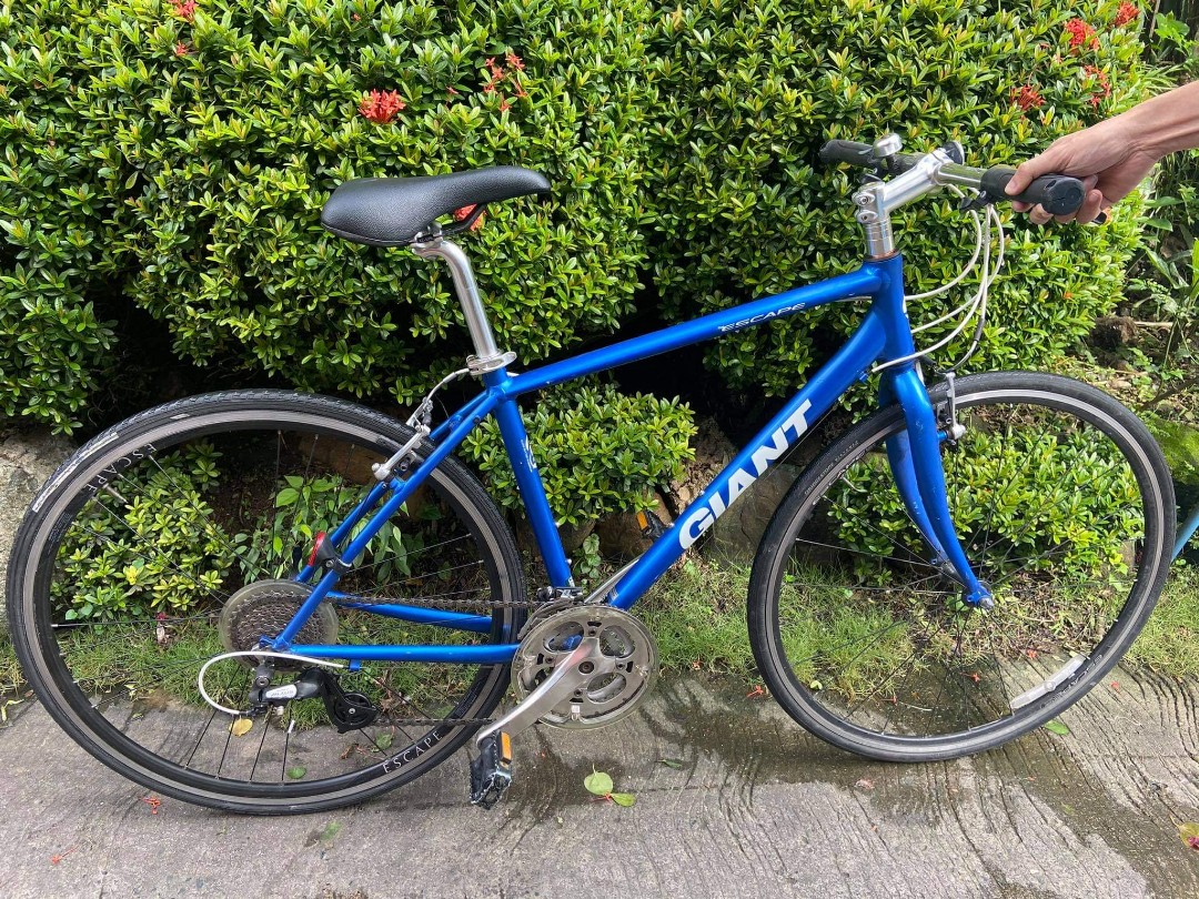 Giant bikes new arrivals japan