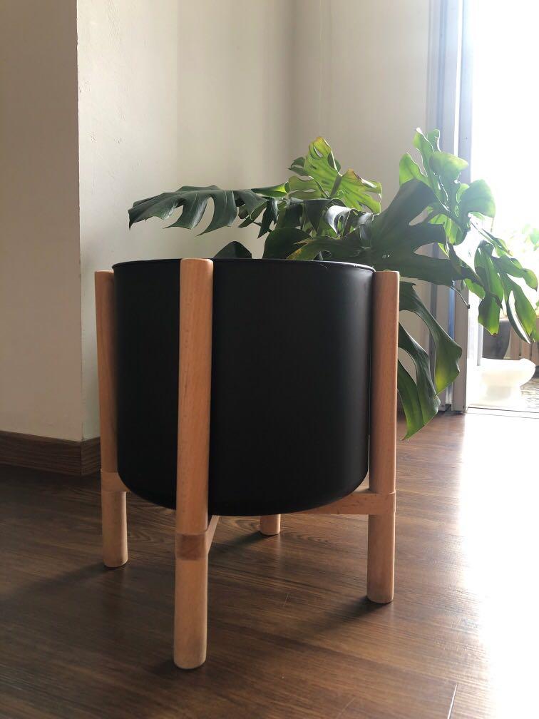 Large Mid Century Modern Planter Gardening Plants On Carousell Our selection of modern planters encompasses a range of inspiring designs from respected brands, like ferm living, vondom, and loll designs—and includes an eclectic collection of vessels for your favorite flowers and greenery. carousell