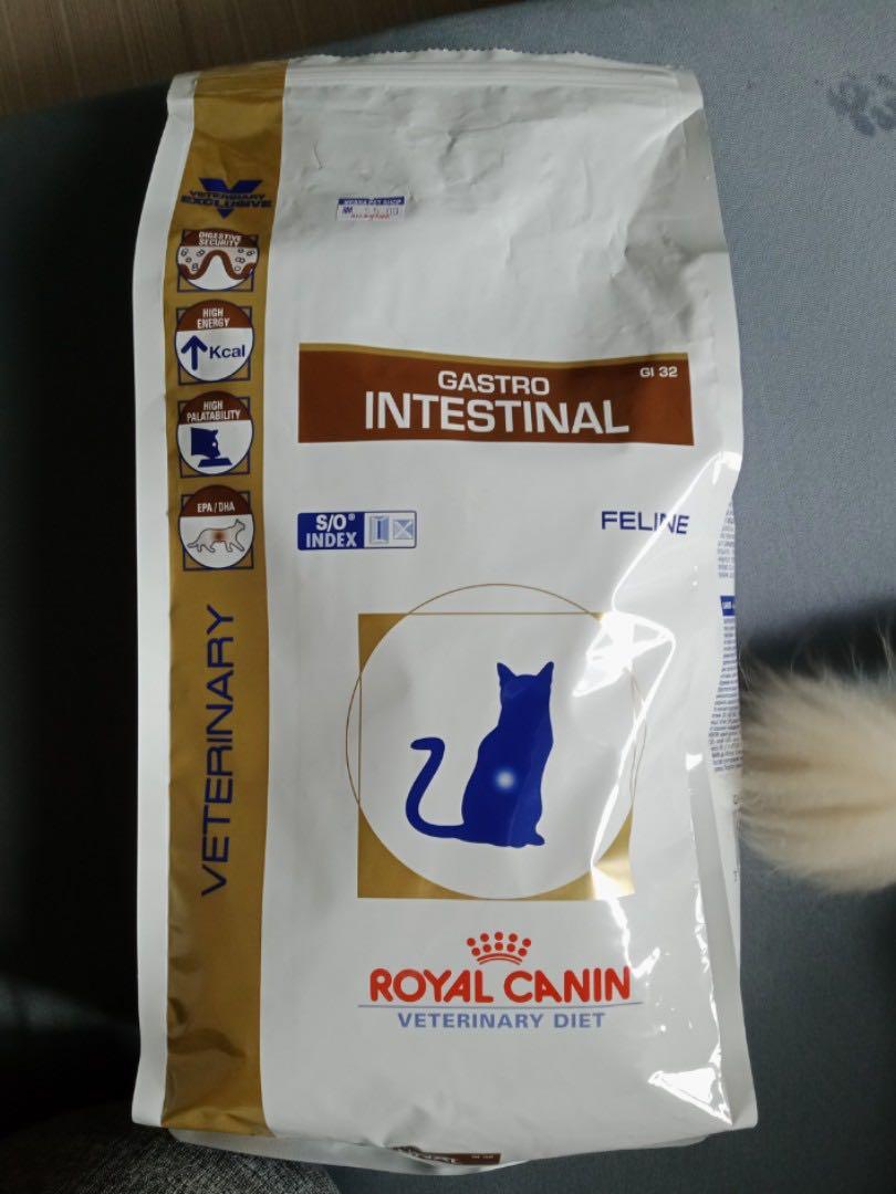 Royal Canin GastroIntestinal Pet Supplies Pet Food on Carousell