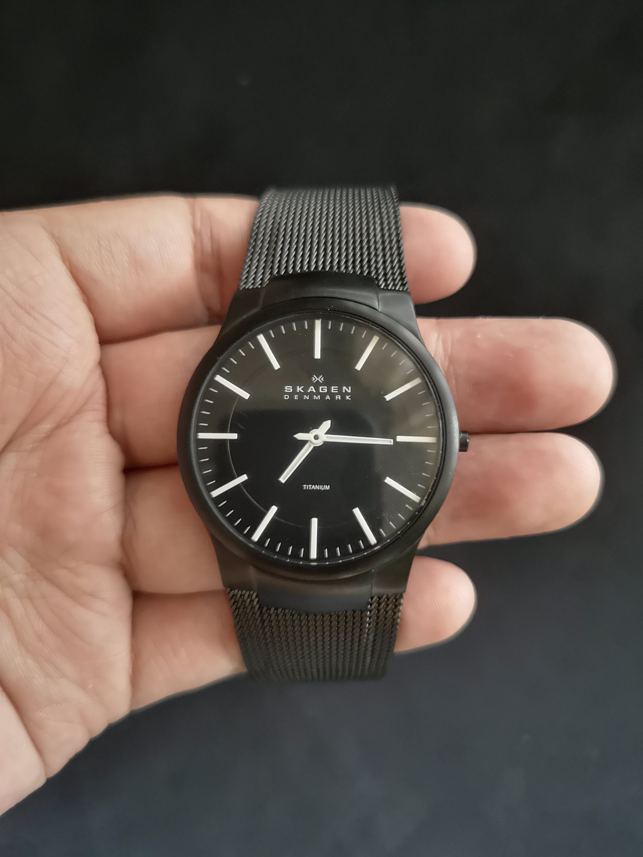 skagen mens watches