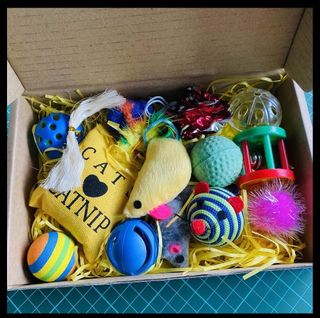 (Category: ) located in . Submitted by calico.pets (Listing ID 1045100984, Image 1). Description: .