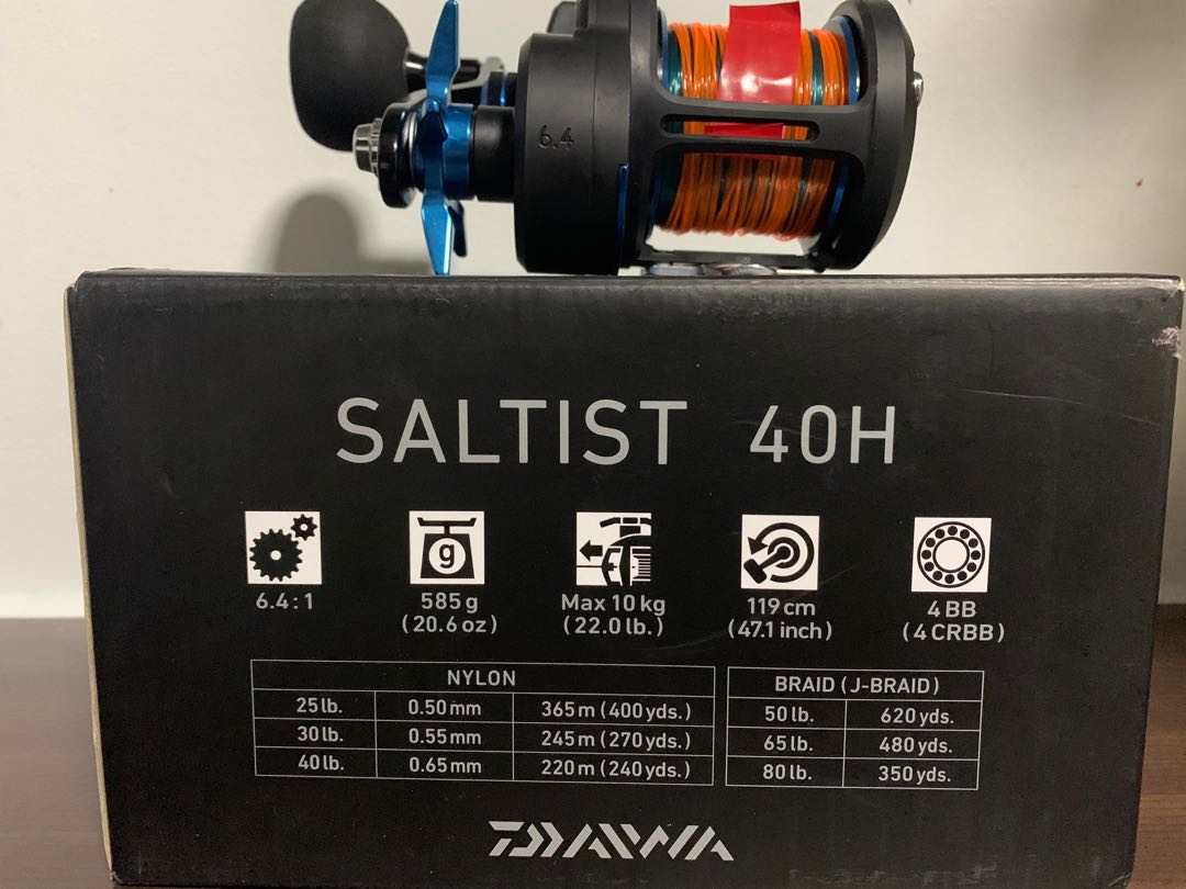 daiwa saltist 12.6 spinning rod