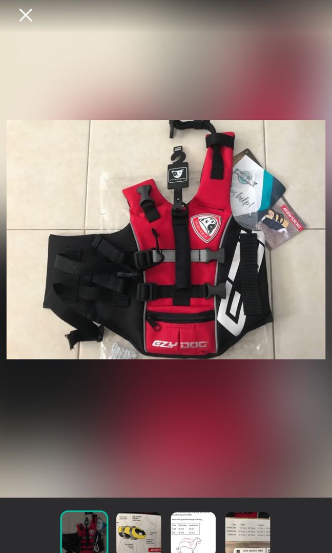 Ezy dog life jacket vest, Pet Supplies, Health & Grooming on Carousell