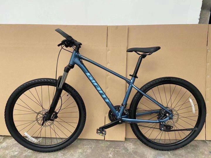 giant mountain bike grey