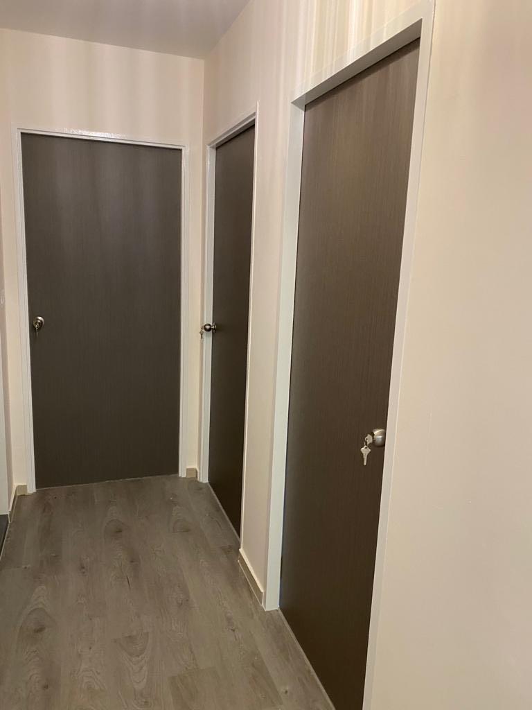 HDB laminate room door ( solid core )