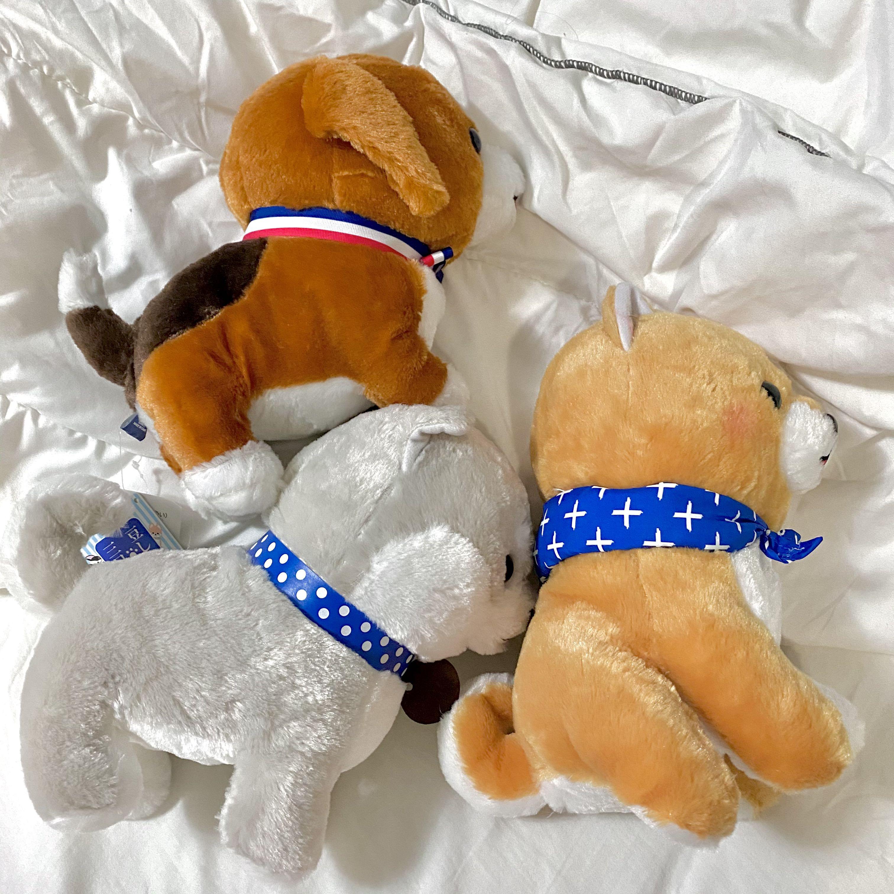 Mameshiba dog plush shop