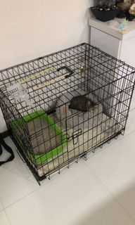 (Category: ) located in . Submitted by pupsicles (Listing ID 1045197669, Image 1). Description: .