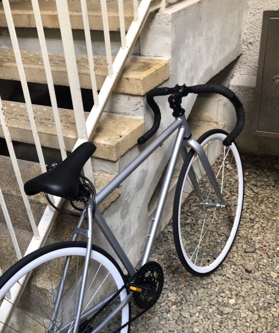 Fixie silver best sale
