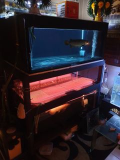 (Category: ) located in . Submitted by tan.3720 (Listing ID 1045466698, Image 1). Description: .