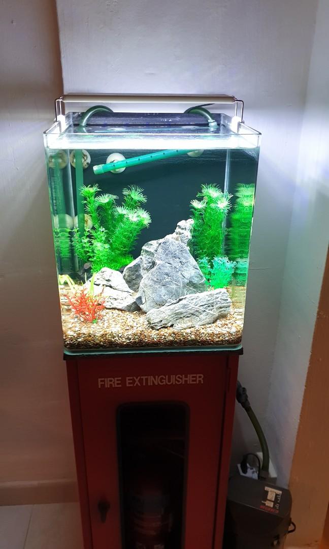 Eheim shop fish tanks