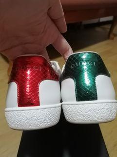 Gucci sneaker