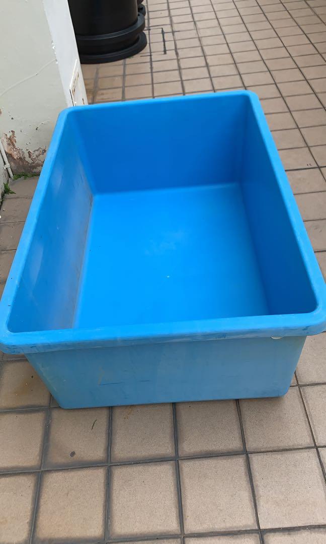 plastic tanks for fish