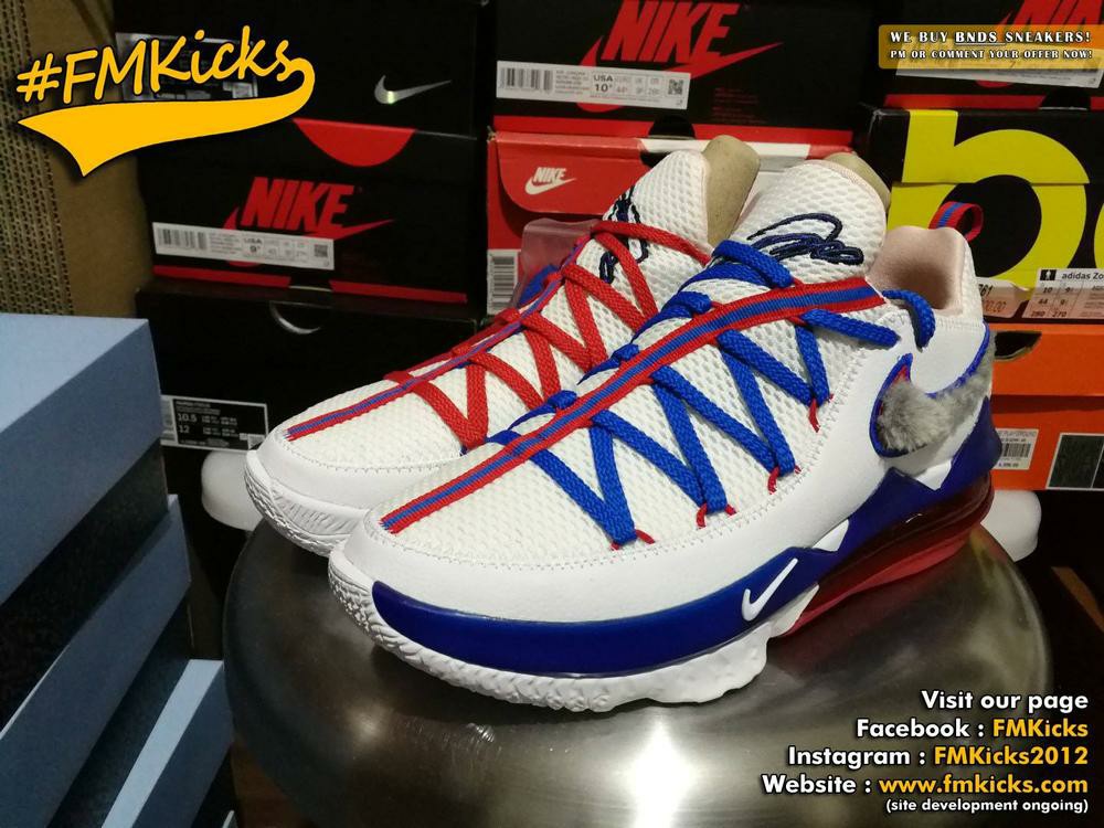 lebron tune squad shoes