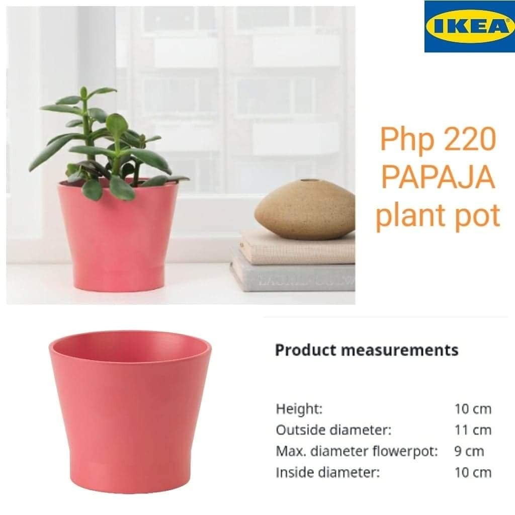 Rusland bekken Glad ON HAND Ikea papaja plant pot, Furniture & Home Living, Gardening,  Gardening Tools & Ornaments on Carousell