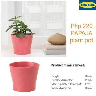 ON HAND Ikea papaja plant pot