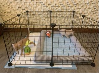 (Category: ) located in . Submitted by ada.ismail (Listing ID 1045501076, Image 1). Description: .