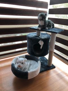 (Category: ) located in . Submitted by bianco8 (Listing ID 1045424981, Image 1). Description: .