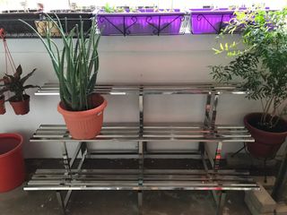 (Category: ) located in . Submitted by ecy (Listing ID 1039220855, Image 1). Description: .