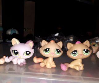 lps dogs and cats for sale