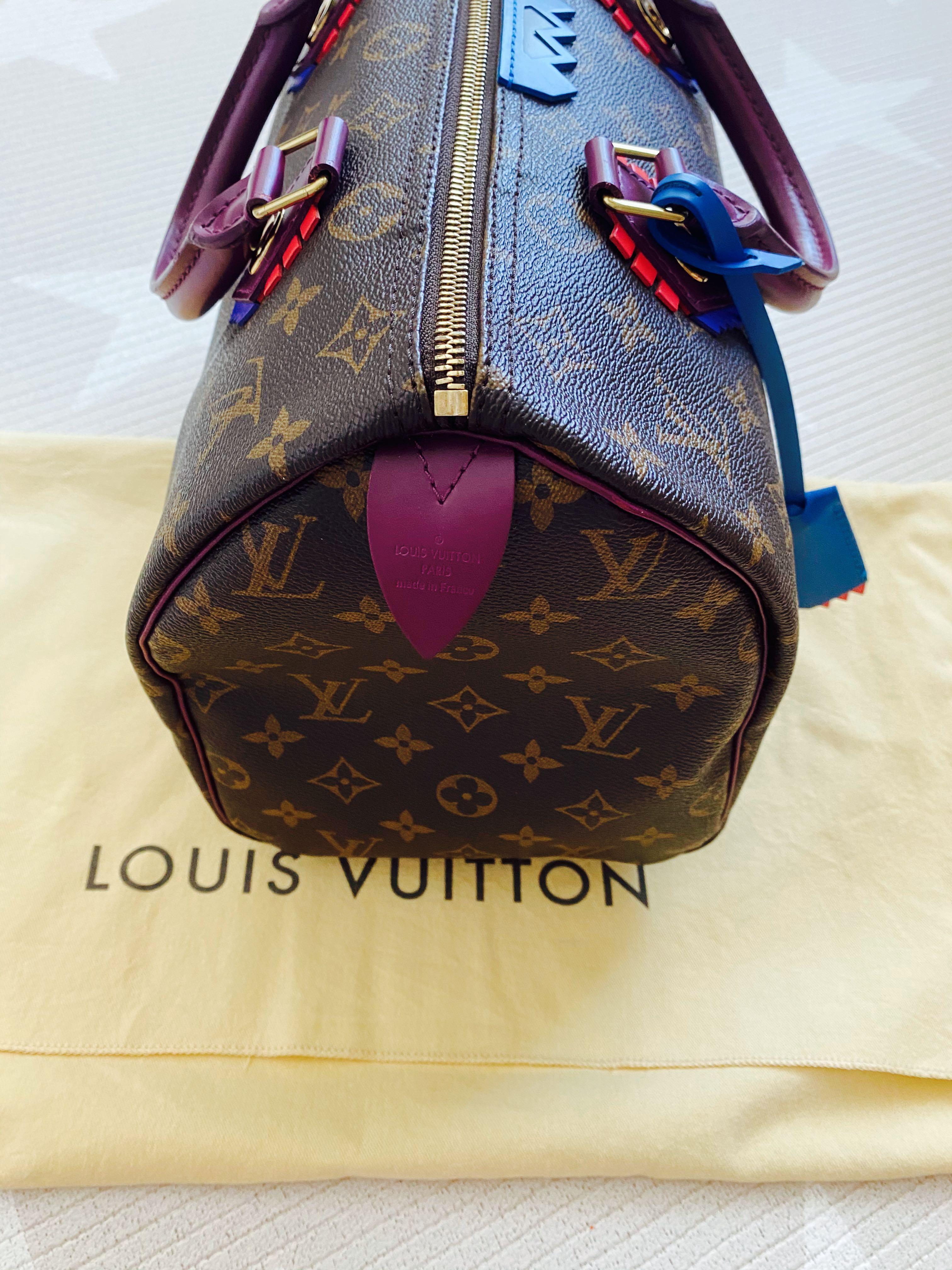 LOUIS VUITTON Speedy 30 limited edition bag in brown totem