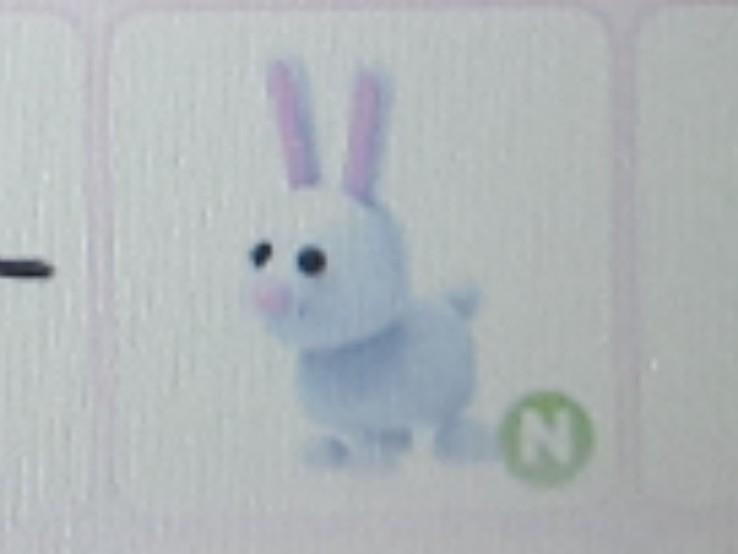 Neon Bunny Adopt Me Hobbies Toys Toys Games On Carousell - roblox adopt me neon bunny