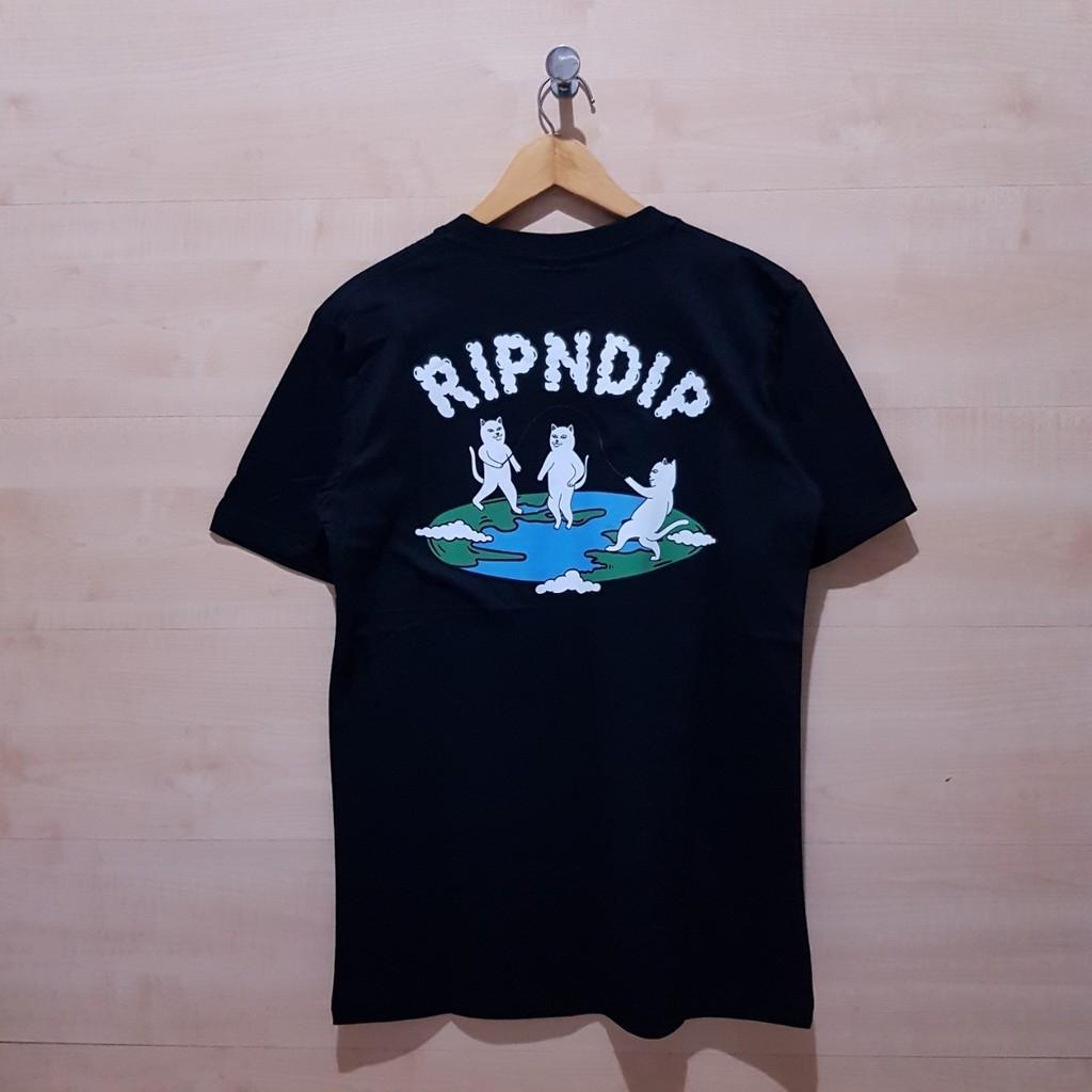 Ripndip top flat earth