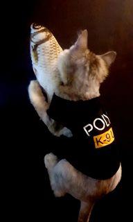 XS Police singlet for kitten/puppt