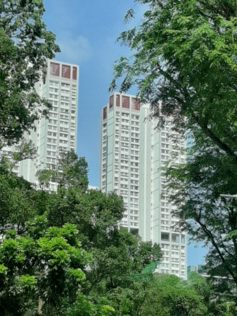 Buona vista mrt. Bk 5 Ghim Moh Road room for rent., Property, Rentals, Room Rentals on Carousell