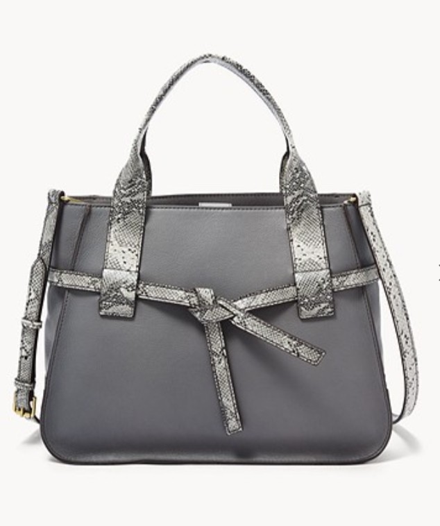 Fossil 2025 willow satchel
